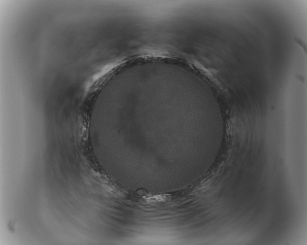 X0000103271303200809122127