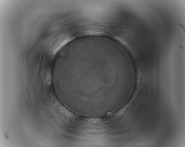 X0000103271306200809122127