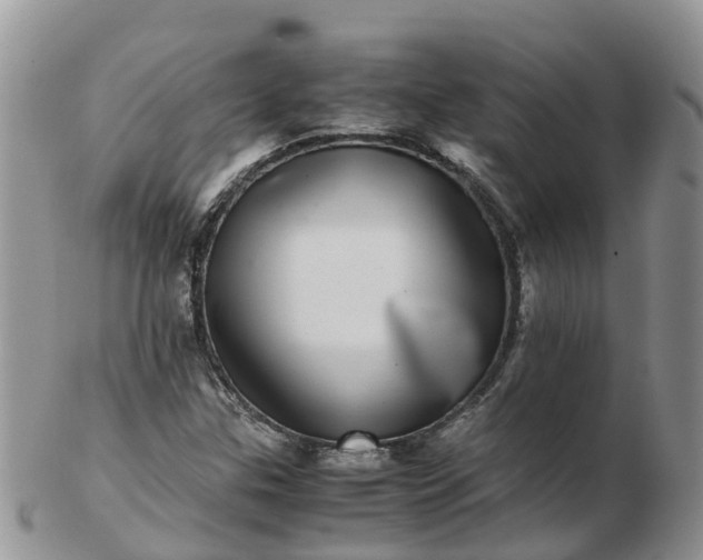 X0000103271307200809122127