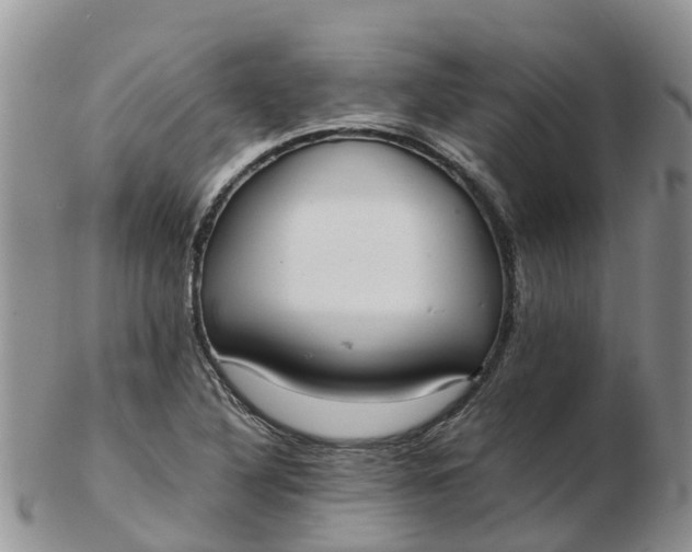 X0000103271316200809122127