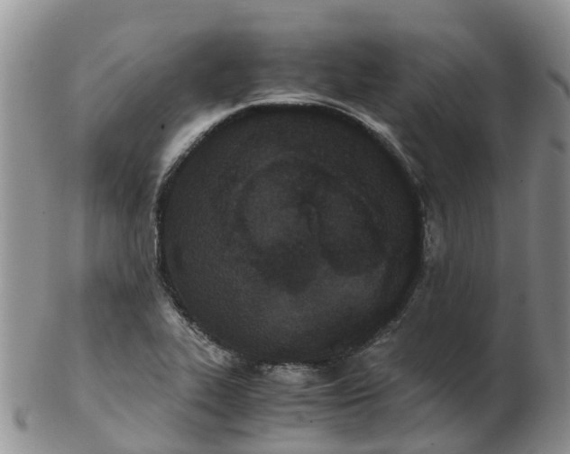 X0000103271319200809122127