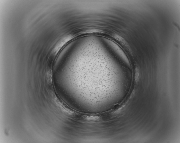 X0000103271321200809122127