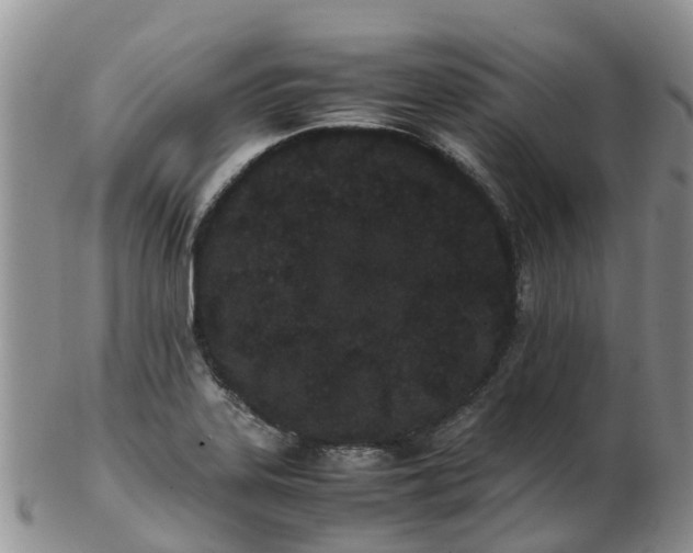 X0000103271323200809122127