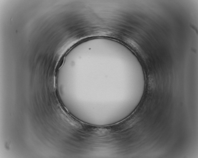 X0000103271324200809122127