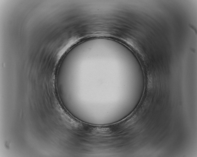 X0000103271325200809122127