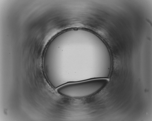 X0000103271326200809122127