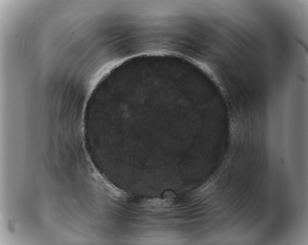 X0000103271327200809122127