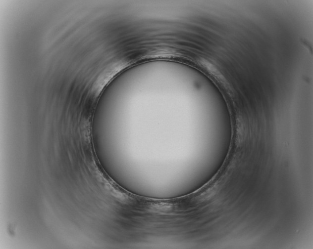 X0000103271329200809122127