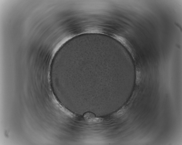 X0000103271331200809122127