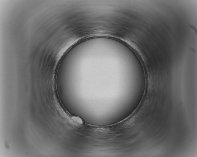 X0000103271333200809122127