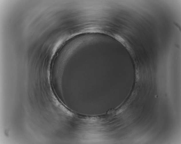 X0000103271334200809122127