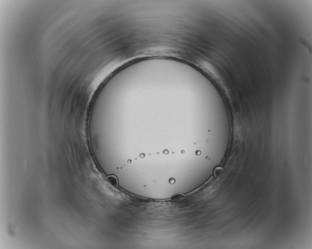 X0000103271336200809122127