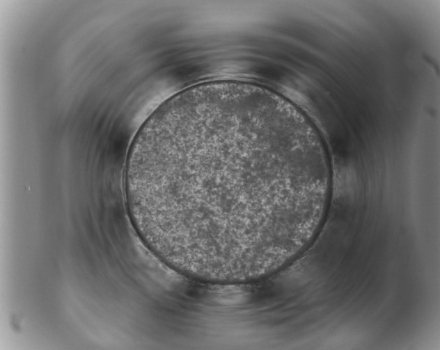 X0000103271338200809122127