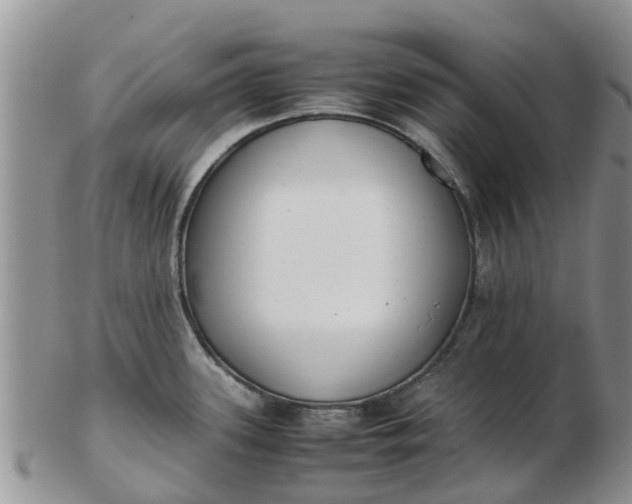 X0000103271339200809122127