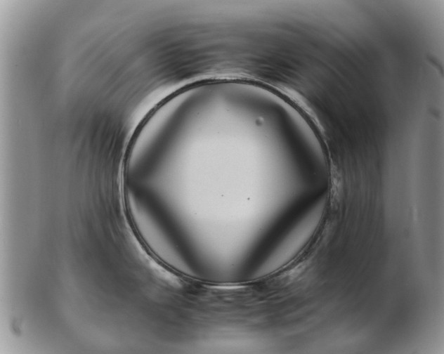 X0000103271343200809122127