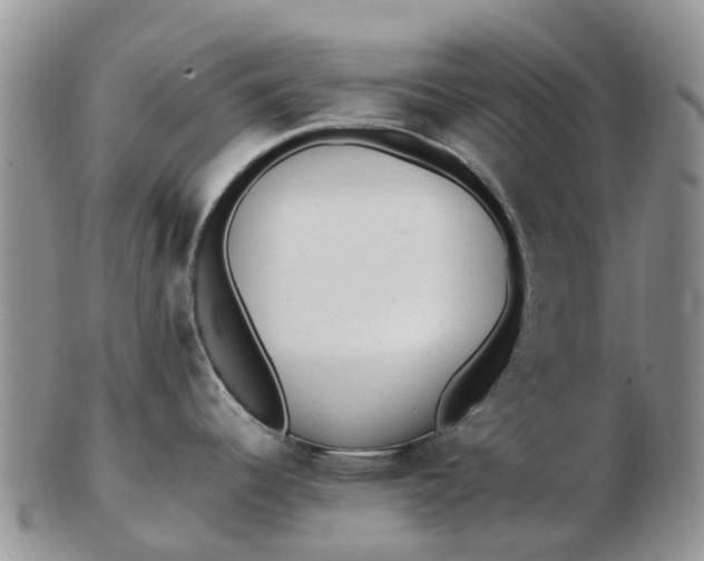 X0000103271344200809122127
