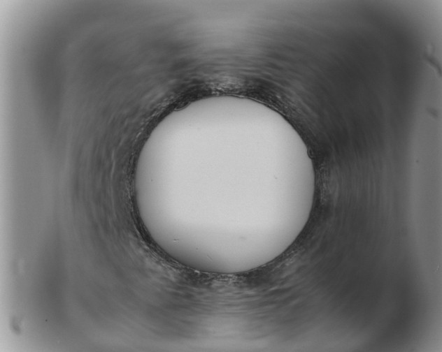 X0000103271345200809122127