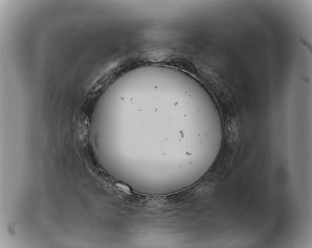 X0000103271349200809122126