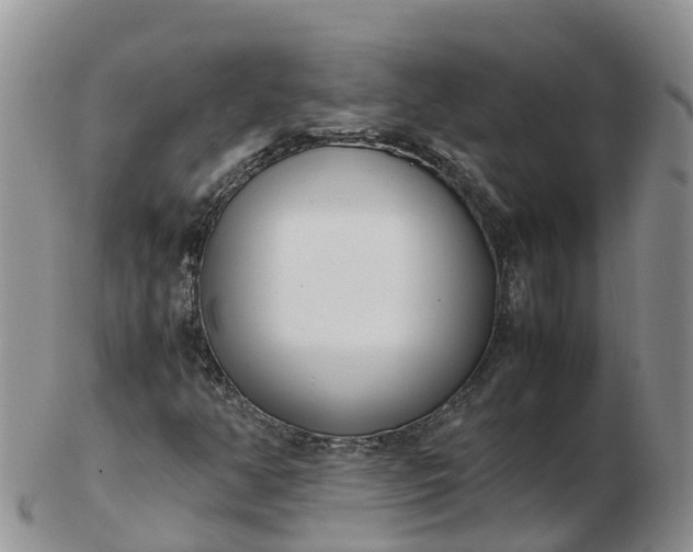 X0000103271350200809122126