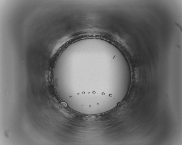 X0000103271352200809122126