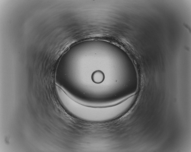 X0000103271353200809122126