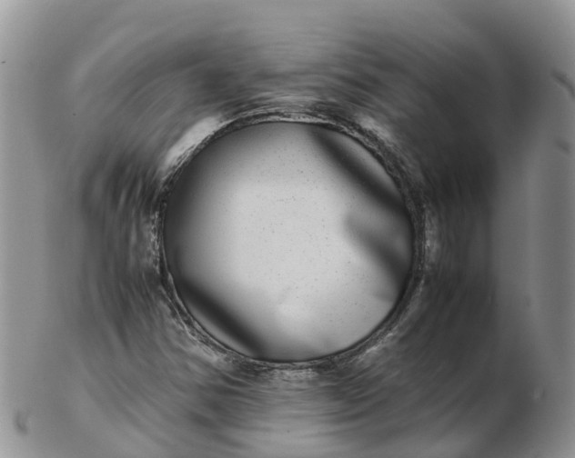 X0000103271354200809122126