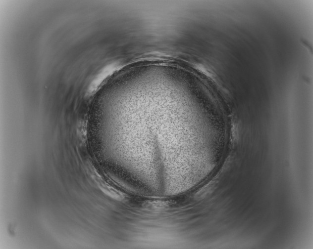 X0000103271355200809122126