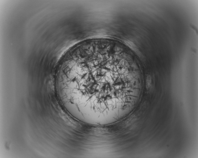 X0000103271356200809122126