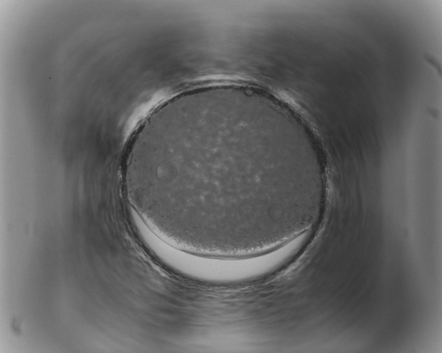 X0000103271357200809122126