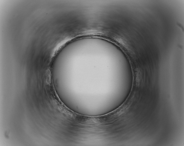 X0000103271358200809122126