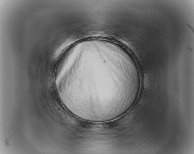 X0000103271359200809122126