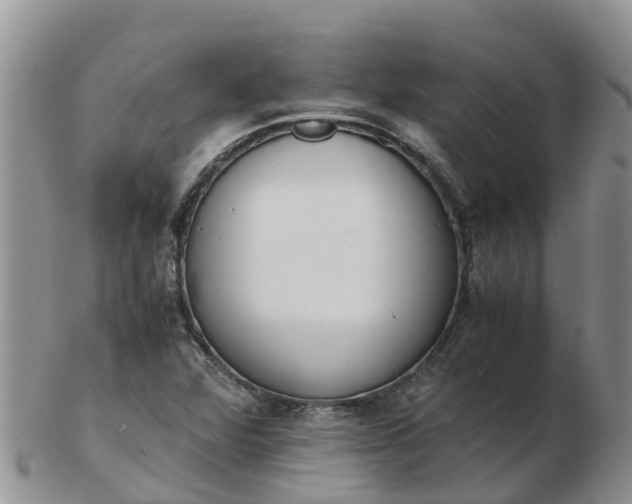 X0000103271360200809122126