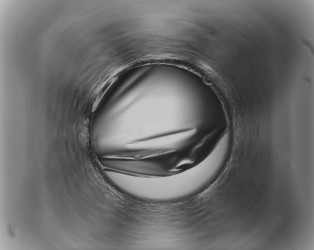 X0000103271361200809122126