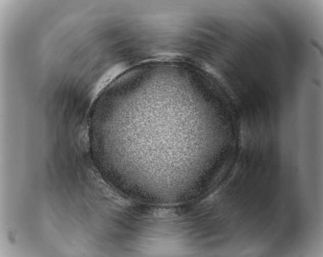 X0000103271362200809122126
