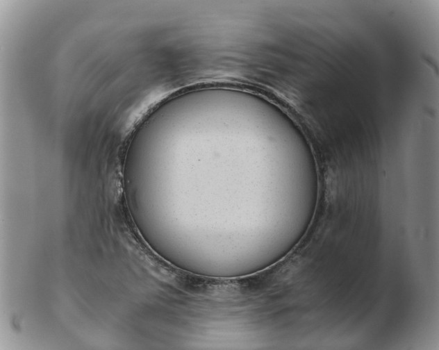 X0000103271363200809122126
