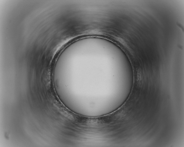 X0000103271364200809122126