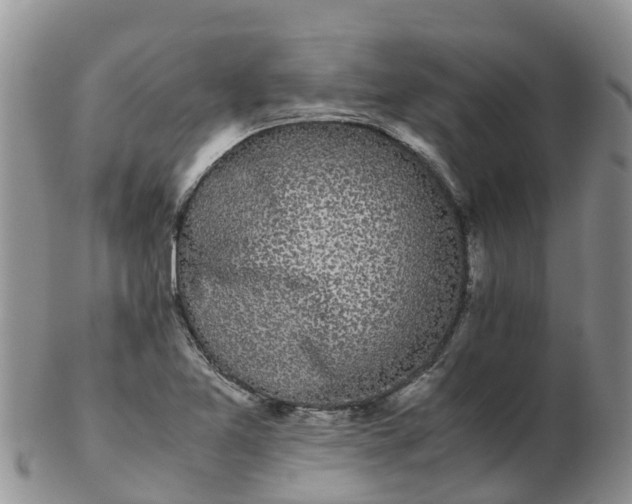 X0000103271365200809122126