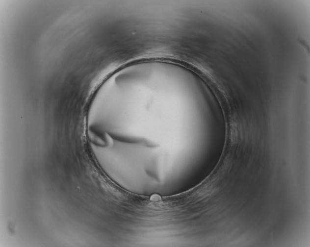 X0000103271366200809122126