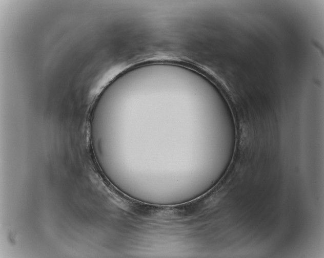 X0000103271367200809122126