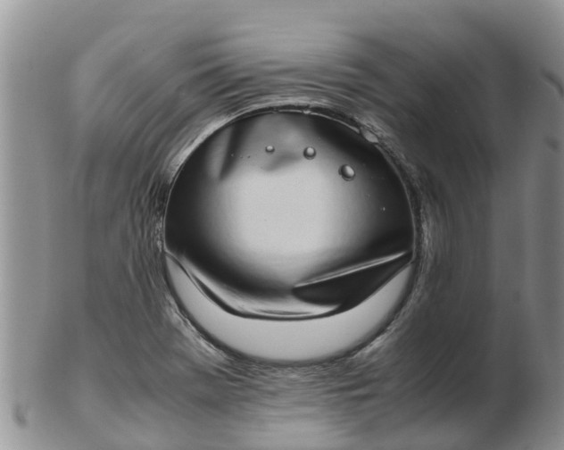 X0000103271369200809122126
