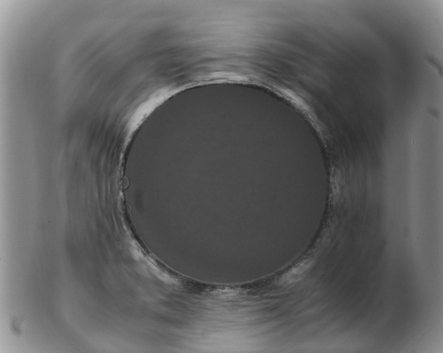 X0000103271373200809122126