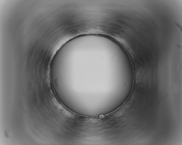 X0000103271374200809122126