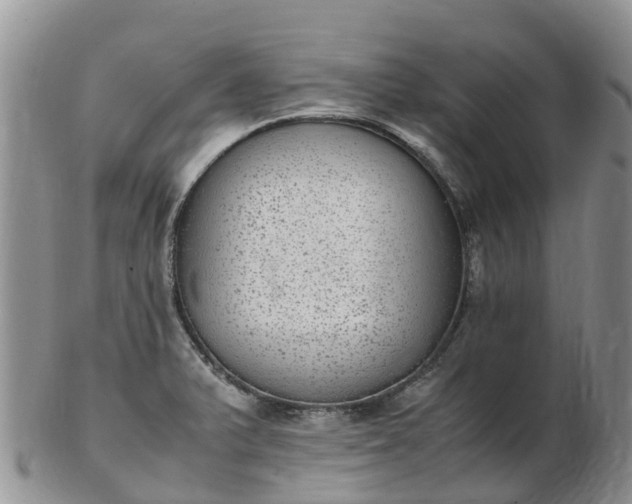 X0000103271375200809122126