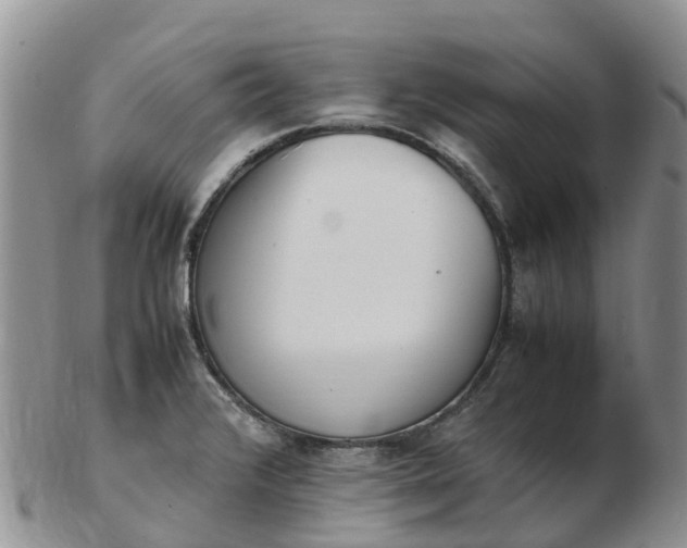 X0000103271376200809122126