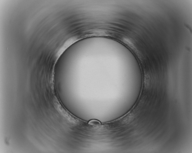 X0000103271378200809122126