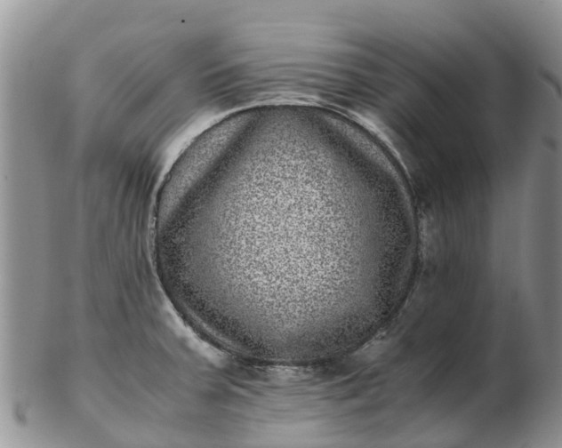 X0000103271379200809122126