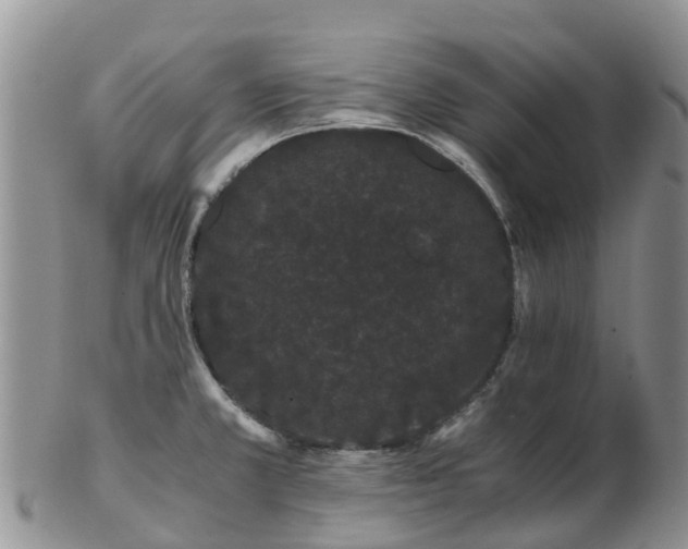 X0000103271381200809122126