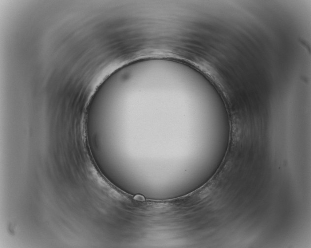 X0000103271382200809122126