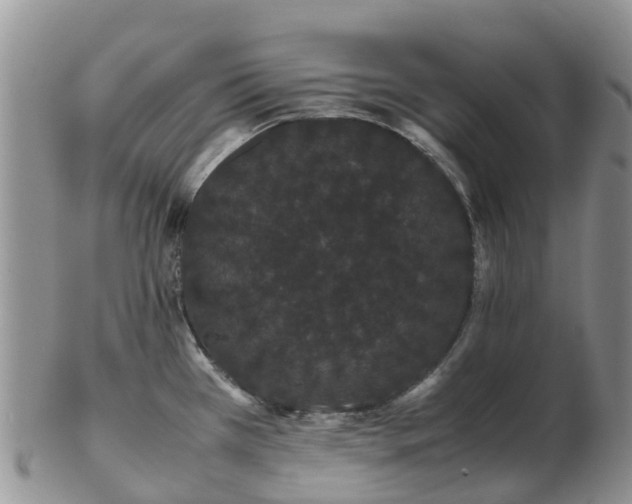 X0000103271385200809122126