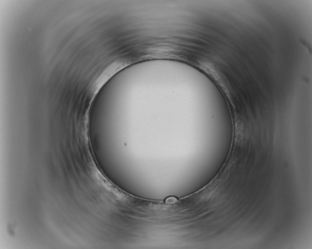 X0000103271386200809122126
